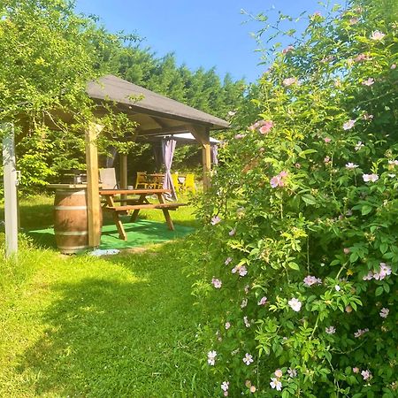 O Clair De Lune Au Coeur De Sarlat - Chambres Climatisees - Parking Prive - Piscine Chauffee - Spa Et Massages Dış mekan fotoğraf