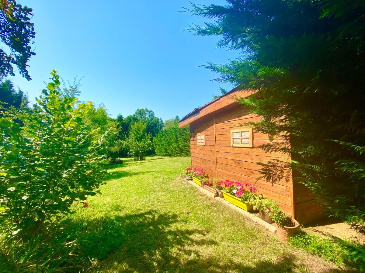 O Clair De Lune Au Coeur De Sarlat - Chambres Climatisees - Parking Prive - Piscine Chauffee - Spa Et Massages Dış mekan fotoğraf