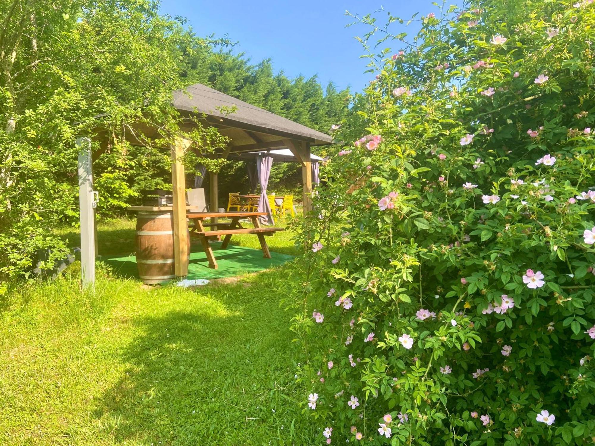 O Clair De Lune Au Coeur De Sarlat - Chambres Climatisees - Parking Prive - Piscine Chauffee - Spa Et Massages Dış mekan fotoğraf